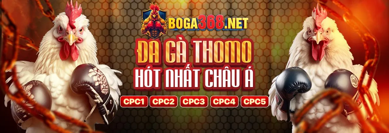 Chiến thuật và mẹo cá cược đá gà hiệu quả tại f188bet, tăng cơ hội chiến thắng